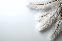 Delicate white feathery branch with copper metallic accents on light background creates minimalist composition with soft shadows and negative space.