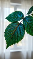Vibrant green leaves with detailed veins in natural sunlight creating shadows on blurred indoor background for botanical and nature themes.