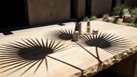 Sunlit patio with palm leaf shadows cast on beige stone flooring, featuring minimalist architectural elements and desert landscaping for outdoor design inspiration.