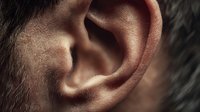 Close-up macro shot of human ear showing detailed anatomy and texture. Medical healthcare concept for hearing, audiology, and sensory perception studies.