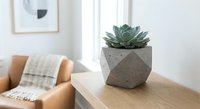 Modern succulent plant in geometric concrete planter on wooden table in minimalist living room interior with natural light and cozy armchair.
