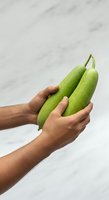 Close-up of hands holding fresh green bottle gourds against marble background. Suitable for organic produce, healthy eating, cooking, and grocery shopping concepts.