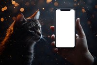 Gray cat looking at blank smartphone screen held by hand against dark background with glowing bokeh lights creating magical atmosphere.