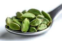 Fresh green cardamom pods in silver spoon on white background, aromatic whole spices for cooking and flavoring food, macro photography with soft focus.