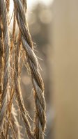 Close-up of weathered rope fibers with golden sunlight creating warm textures and natural patterns for rustic nautical and outdoor adventure themes.