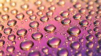 Water droplets on pink and purple gradient surface with golden light reflections, suitable for backgrounds and design projects.
