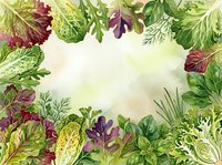 Fresh mixed salad greens and herbs arranged in circular frame on isolated white background, ready for culinary design, menu layouts, and food packaging projects.