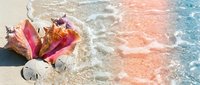 Young woman relaxing on tropical beach with pink fins and snorkel gear as turquoise waves wash over sandy shore during summer vacation.