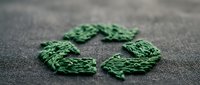 Fresh green kale leaves arranged in circular pattern on textured fabric background for healthy eating and nutrition concepts.