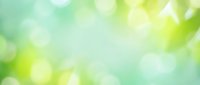 Soft blurred bokeh background with green and yellow tones, ideal for spring, nature, wellness, and eco-friendly design projects.