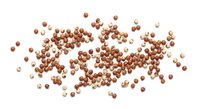 Coriander seeds scattered on white background, organic spice ingredient for cooking and seasoning, natural brown dried seeds isolated for culinary use.