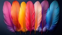 Colorful gradient feathers in vibrant rainbow hues arranged in row on dark background for creative design projects and artistic compositions.