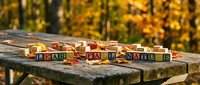 Wooden alphabet blocks spelling THANKFUL on rustic table with autumn leaves and warm sunlight creating cozy fall atmosphere for seasonal gratitude themes.
