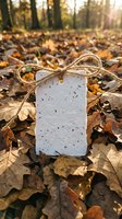 White handmade paper tag tied with twine rests on autumn forest floor covered with golden fallen leaves and natural debris during golden hour sunlight.