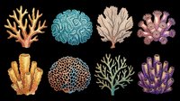 Coral reef marine organisms isolated on transparent background, ready for t-shirt design, clipart, stickers, sublimation and print-on-demand products.