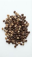 Roasted coffee beans in various shades of brown arranged on white background, displaying different roast levels from light to dark for beverage production and culinary use.