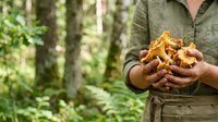 Young adult male with medium skin tone holding freshly foraged mushrooms in forest setting, wearing olive shirt. Foraging and nature exploration concept.