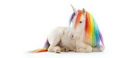 White unicorn with rainbow mane and tail lying down on isolated background for fantasy designs, children's products, and magical themed projects.