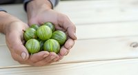 Male hands holding fresh green striped gooseberries on wooden surface. Suitable for food, agriculture, harvest, and organic produce marketing materials.