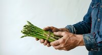 Fresh green asparagus bunch held in male farmer hands wearing denim shirt against white background. Suitable for organic produce, agriculture, and healthy food marketing.