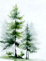 Watercolor pine trees in misty forest, soft green hues on white background creating serene woodland atmosphere for nature-inspired designs.