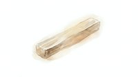Transparent plastic packaging tube with natural wood grain visible inside, isolated on white background for product mockup and design applications.