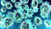 Microscopic view of glowing turquoise virus cells floating in dark blue space, showing detailed spike proteins and molecular structure. Scientific medical visualization.