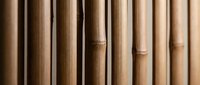 Natural bamboo canes arranged vertically creating organic texture pattern for eco-friendly sustainable design projects and environmental concepts.