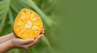 Cropped hand holding fresh yellow pineapple slice against blurred green foliage background, suitable for food, nutrition, and tropical fruit marketing materials.