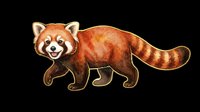 Red panda isolated on transparent background, ready for t-shirt design, clipart, stickers, print-on-demand products, and sublimation projects.