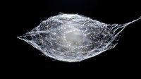 Dynamic water splash with droplets and bubbles captured in motion against black background for creative design projects.