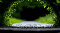 Mysterious forest path through green foliage tunnel, dark atmospheric nature background with stone road and natural arch from leaves.