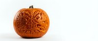 Ornate carved pumpkin with intricate floral pattern design on white background, autumn decoration for Halloween and fall seasonal celebrations.