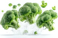Fresh broccoli florets with water splashes on white background, healthy green vegetables in dynamic composition for food photography and advertising.