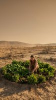 Young woman farmer tending green vegetable garden in arid desert landscape during golden hour sunset with mountains in background.