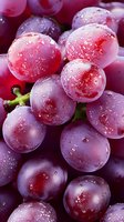 Fresh red grapes with water drops in macro view. Ripe juicy fruit cluster showing detailed texture and natural moisture on purple-red skin surface.