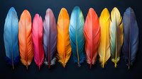 Colorful feathers arranged in row on dark background. Vibrant plumage collection in rainbow spectrum from blue to purple. Isolated design elements.