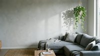 Modern minimalist living room with gray corner sofa, hanging potted plant, wooden floor, and natural light from window. Suitable for interior design, home decor, and lifestyle publications.