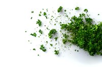 Fresh green parsley leaves scattered and clustered on white background, isolated herb spice ingredient for cooking and garnishing food preparation.