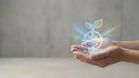 Hands protecting glowing plant sprout with rainbow light rays symbolizing environmental care, sustainability, growth and eco-friendly business concepts.