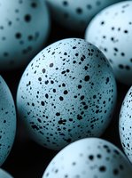 Close-up of speckled blue bird eggs with natural dark spots arranged together, showcasing delicate shell texture and organic patterns for nature photography.