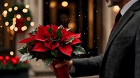 Elegant red poinsettia plant held by person in business suit against blurred festive bokeh background with golden lights and falling snow for holiday season.