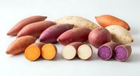 Colorful sweet potato varieties with cross-sections showing orange, white and purple flesh isolated on white background for healthy cooking concepts.