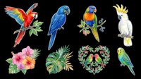Colorful tropical parrot clipart set isolated on transparent background, featuring macaw, cockatoo, budgie, lovebirds, and tropical flowers, ready for stickers, t-shirt design, and print on demand.