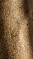 Natural tree bark texture with rough brown surface and organic patterns for backgrounds and design projects.