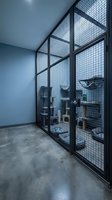 Modern industrial storage room with black metal mesh cage dividers and concrete floors for secure equipment organization and warehouse design.