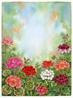 Watercolor geranium garden with pink, red, white and burgundy blooms on soft green background with copy space for text.