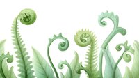 Delicate fern fronds and curling tendrils in soft watercolor green shades create an organic border design, isolated on white background for nature-inspired projects.