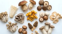 Assorted fresh mushroom varieties including shiitake, oyster, enoki, morel and porcini arranged on white background for culinary and cooking concepts.