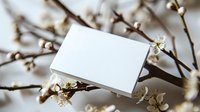 Blank white business card mockup on spring flowering branches, elegant natural composition for branding presentation.